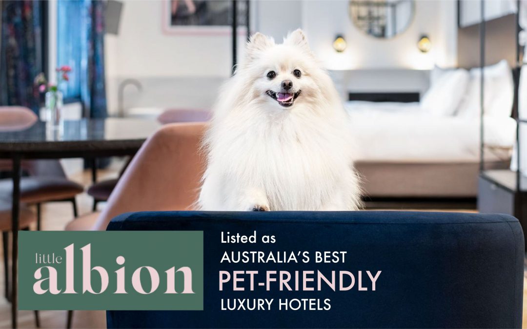 11 of Australia’s best pet-friendly luxury hotels