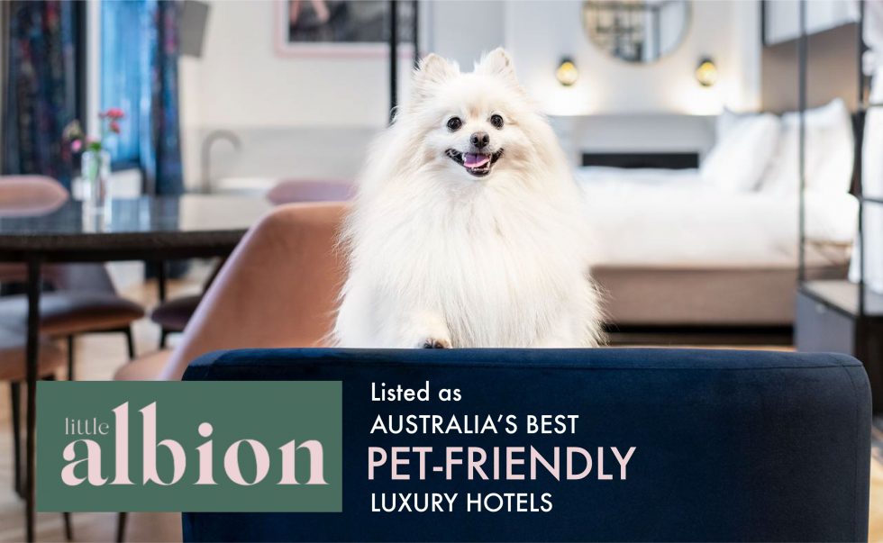 11 of Australia’s best petfriendly luxury hotels